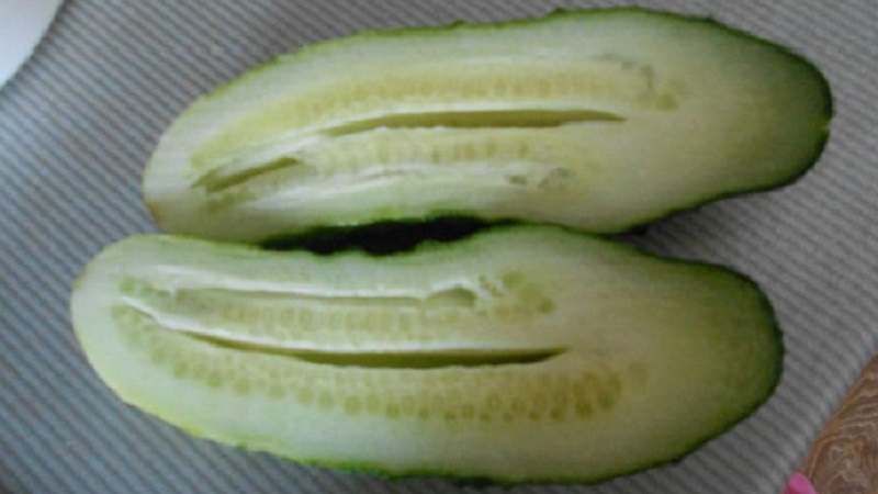 Why are cucumbers empty inside and how to prevent this problem