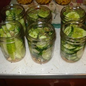 A selection of the best recipes for harvesting cucumber slices for the winter