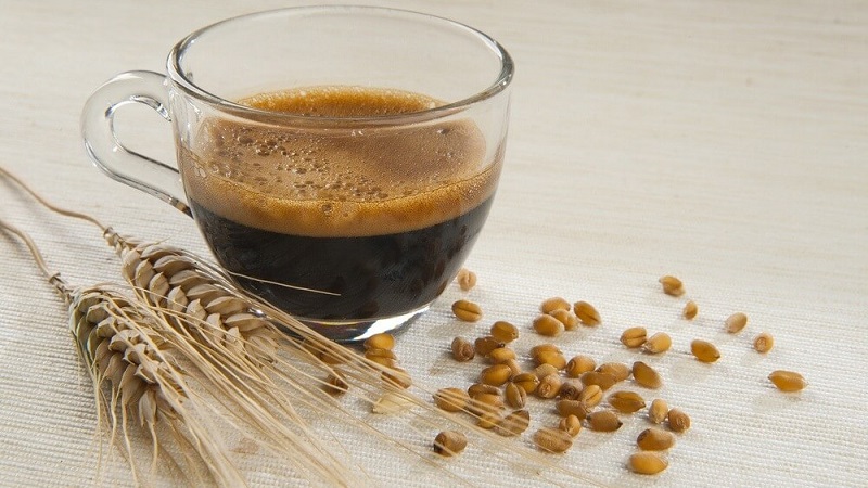 Výhody a poškodenia kávového nápoja vyrobeného z jačmeňa a raže, pokyny na jeho prípravu