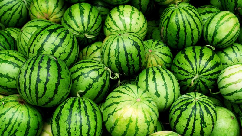 De redenen waarom watermeloen bitter is en het is mogelijk om zo'n vrucht te eten