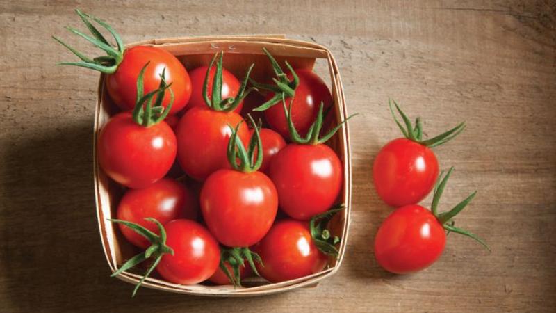 אנו נספר ונראה לכם כיצד לשמור על עגבניות טריות לאורך זמן: פריצות חיים מעניינות מבעלי ניסיון