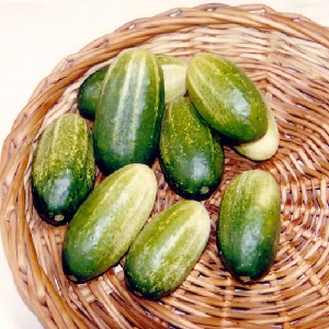 De vroegste soorten komkommers voor kassen en vollegrond