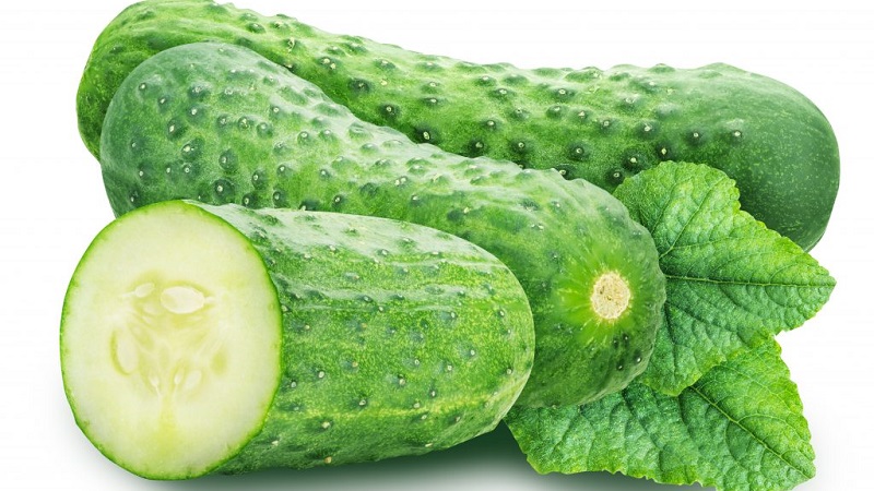 De vroegste soorten komkommers voor kassen en vollegrond