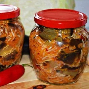 The most delicious recipes for salting eggplant for the winter in jars from experienced housewives