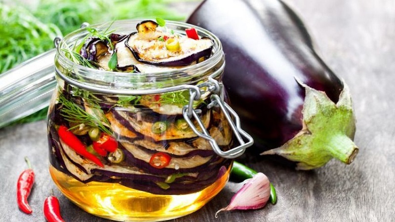 The most delicious recipes for salting eggplant for the winter in jars from experienced housewives