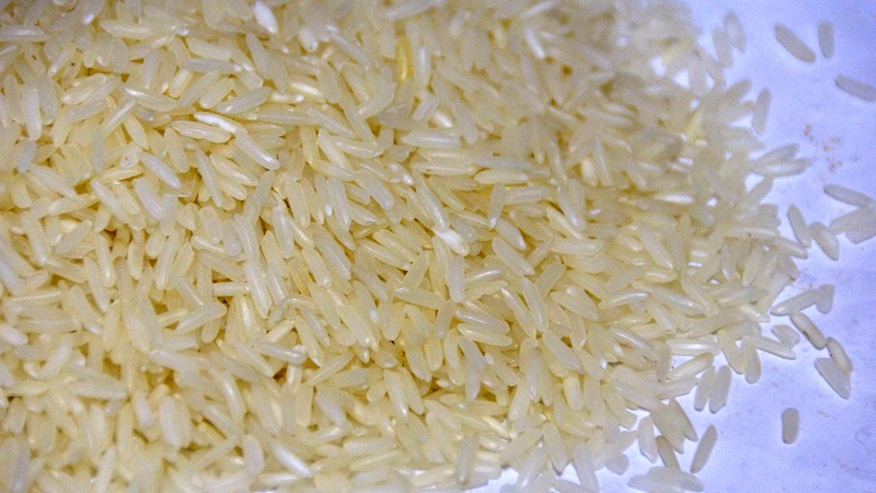 Le riz le plus sain: quelle variété est préférable de manger