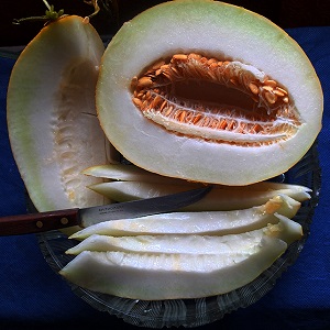 Süße und duftende usbekische Melone Gulyabi: wie man sie auswählt und wie man sie selbst anbaut