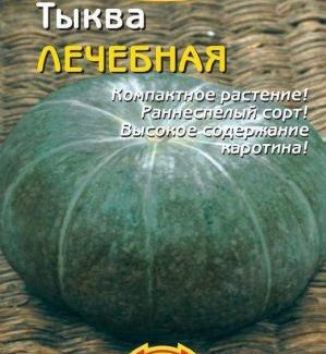 Uma variedade saudável e saborosa de criadores Kuban - Abóbora curativa: uma revisão da variedade e instruções para o cultivo