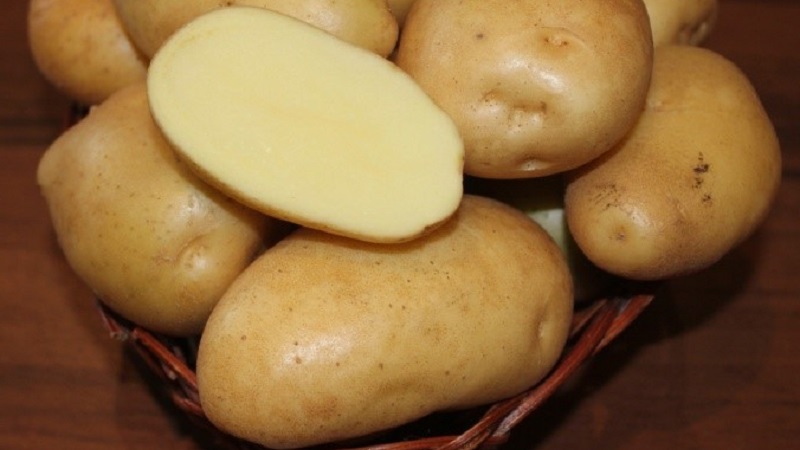 Wie verbouwde de grootste aardappel ter wereld en hoe ziet hij eruit