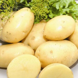 Paglalarawan at katangian ng iba't ibang Laperla patatas