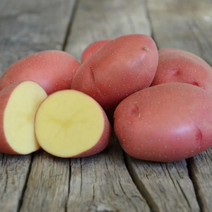 Μεσαία ποικιλία πρώιμης πατάτας Όμορφος με εκπληκτική γεύση