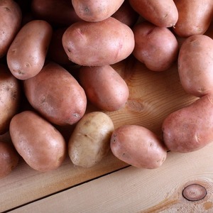 Varietà di patate medio precoci Bello con un gusto straordinario