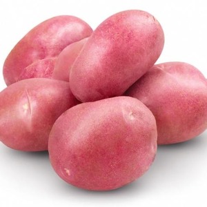 Středně raná odrůda brambor Hezká s úžasnou chutí