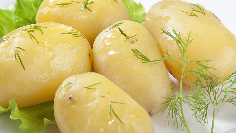 Giống khoai tây Lapot cứng cáp không ngại thời tiết xấu