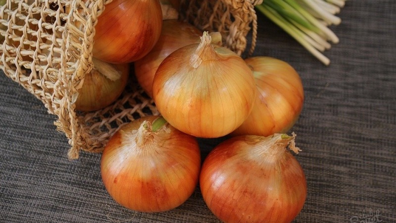 Features of growing and planting onion sets