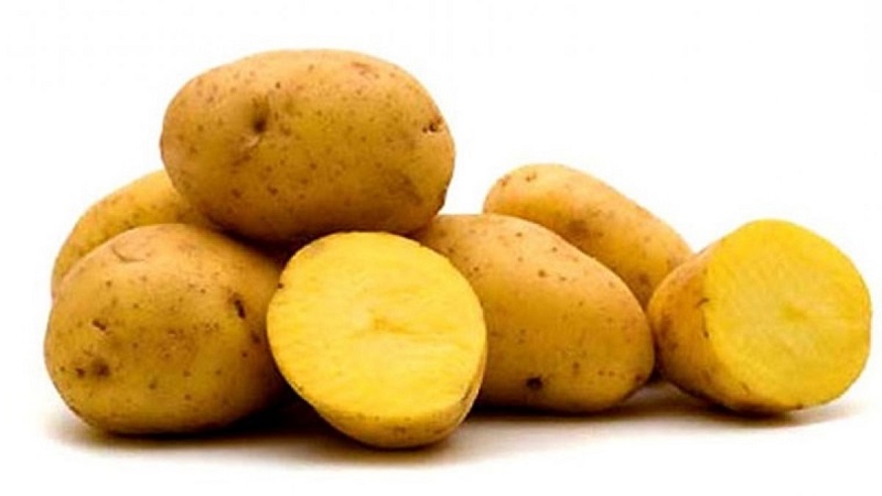 Ankstyvos brandinimo bulvių veislė „Nandina“ su gera laikymo kokybe