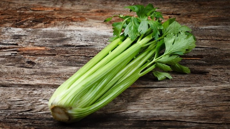 Ano ang pagkakaiba sa pagitan ng lovage at celery, o pareho ito