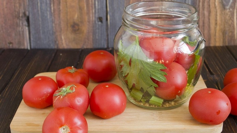 Amazing-tasting recipes for tomatoes with celery for the winter