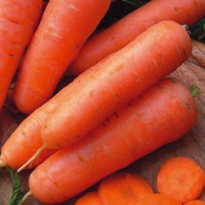 Najlepšie odrody mrkvy - fotografie a podrobné popisy, recenzie