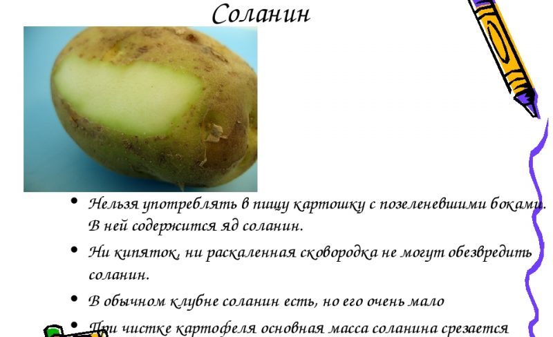 Pourquoi la solanine dans les pommes de terre est-elle dangereuse?