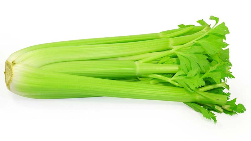 A step-by-step guide to growing stalked celery outdoors