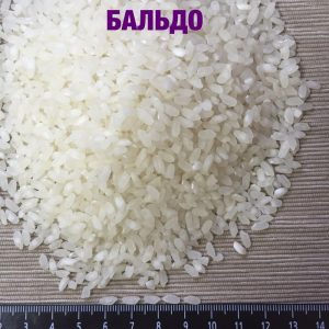 Mikä on Baldo-riisi ja mihin sitä käytetään