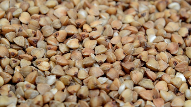 Instrucciones para compradores: cómo elegir el trigo sarraceno correctamente.