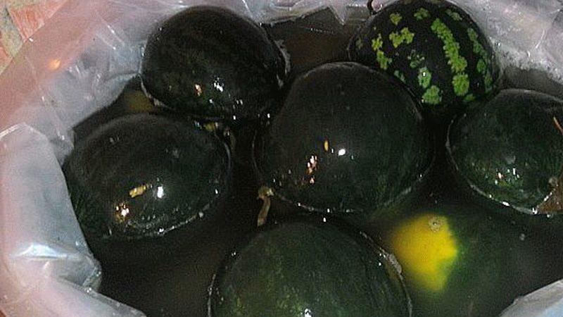 Wie man Wassermelonen in einem Fass fermentiert: bewährte Rezepte