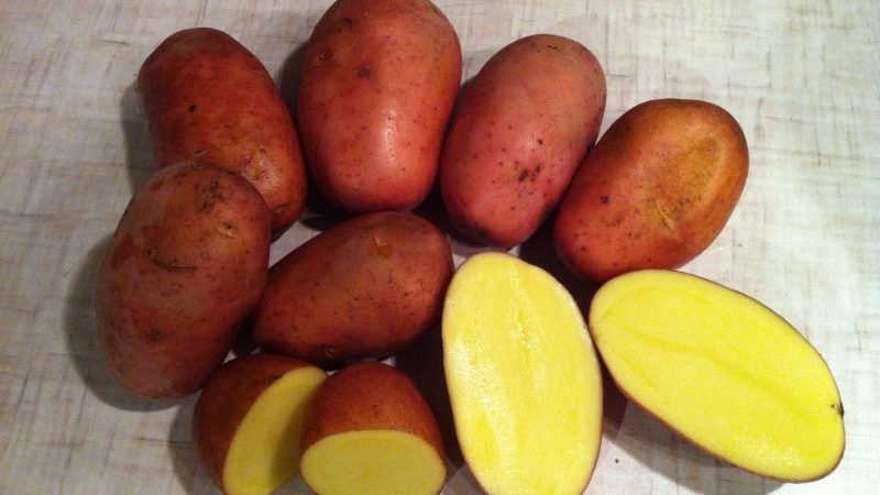 Quelles pommes de terre sont les meilleures pour la friture: rouges ou blanches