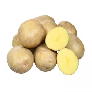 Varietat de patata primerenca mitjana Brisa de criadors bielorús