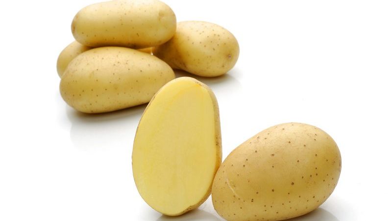 Een pretentieloze variëteit aan Felox-aardappelen met een uitstekende smaak