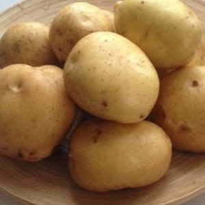 Very early ripening potato variety Karatop