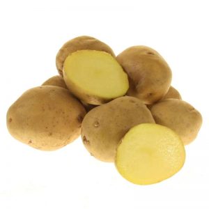 Sezon ortasında, yüksek verimli Lugovskoy patatesi, patates püresi için ideal