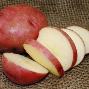 High-yielding Roco potato, ideal for boiling and baking