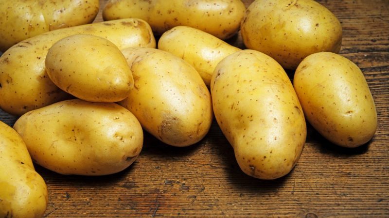 Domestic table patatas iba't-ibang Skazka