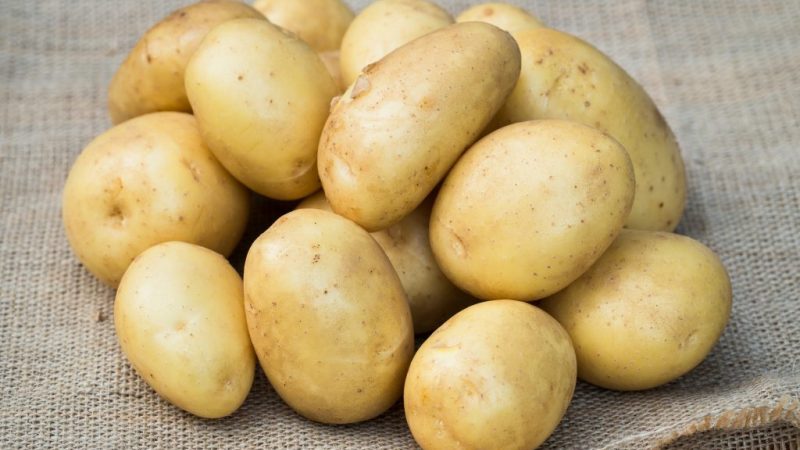 Wczesna dojrzała odmiana ziemniaka stołowego Uladar: opis, zdjęcia i recenzje letnich mieszkańców