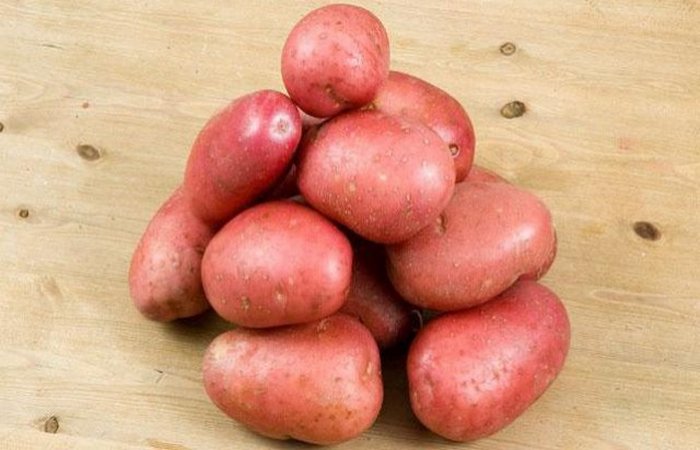 Variedade Zhuravinka de batata resistente à geada de alto rendimento com sabor excelente