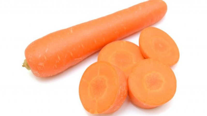 Early maturing, cold-tolerant hybrid of Dordogne carrots