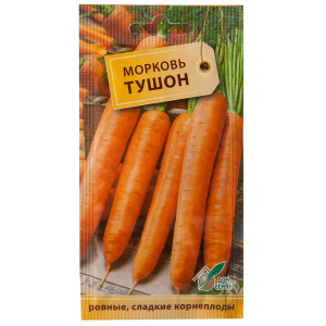 Variedade Touchon de cenoura madura precoce de Amsterdã