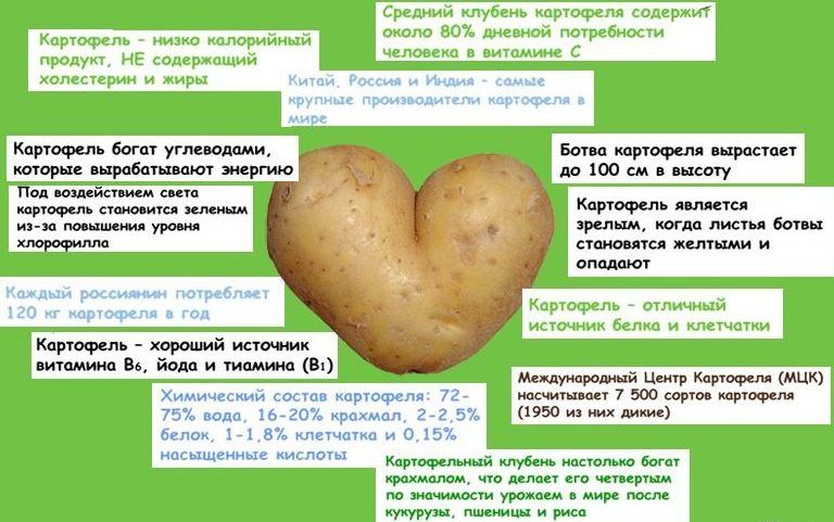 Is it possible to eat potatoes with high cholesterol