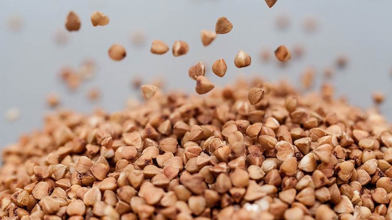 Los beneficios y daños del trigo sarraceno para la salud humana