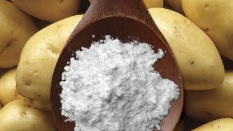 L'utilisation de la fécule de pomme de terre dans la médecine traditionnelle et dans la vie quotidienne
