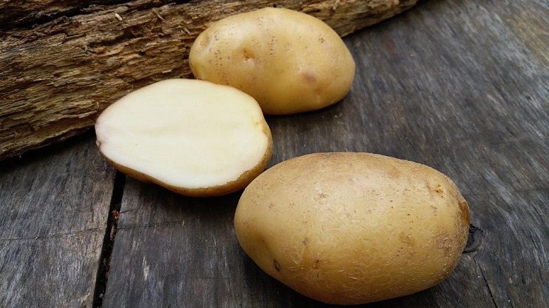 La più antica varietà di patate Lorkh