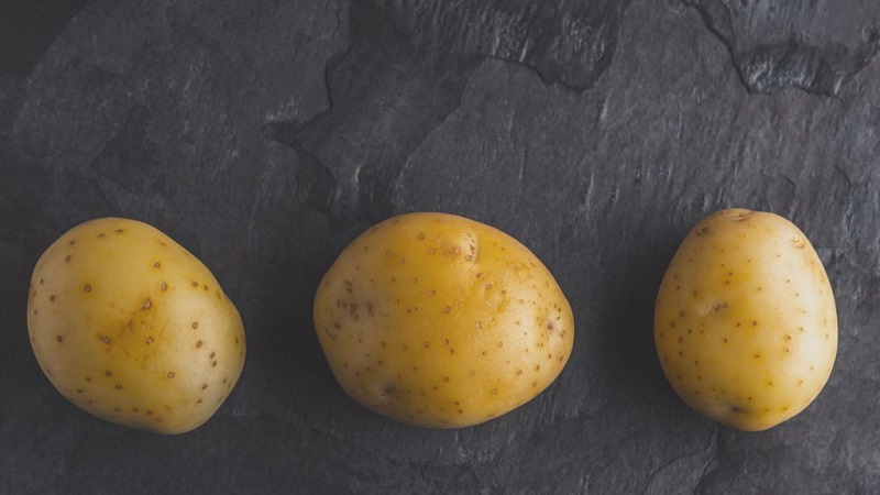 Παλαιότερη ποικιλία πατάτας Lorkh