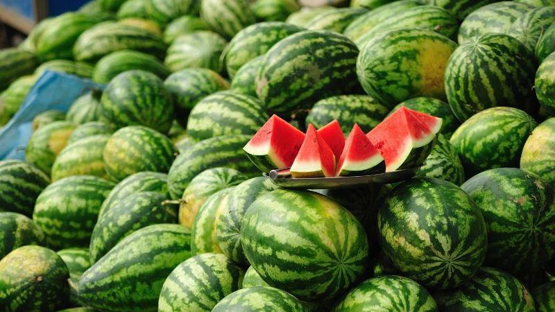 De namen van vroege variëteiten van watermeloenen voor open grond en beoordelingen erover