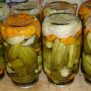 The most delicious recipes for preserving cucumbers for the winter