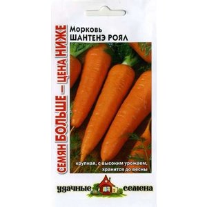 Sweet variety of carrots Shantane Royal bright orange color
