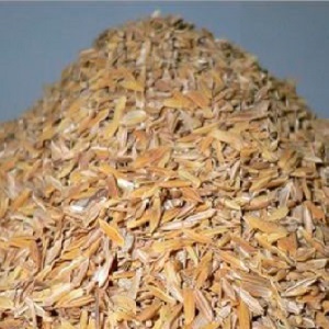 Composition and features of the use of rice husk