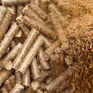 Composición y características del uso de la cáscara de arroz.