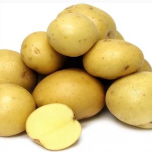 Keskikokoisen varhaisen tuottoisan perunalajike, jolla on vahva immuniteetti Belmondo